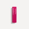 CAUDALIE VINOTHERAPIST BAUME LEVRES TEINTE 4,5G