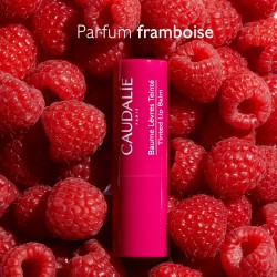 CAUDALIE VINOTHERAPIST BAUME LEVRES TEINTE 4,5G