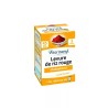 VITAVEA LEVURE DE RIZ ROUGE