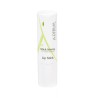 A-DERMA BAUME A LÈVRES 15ML