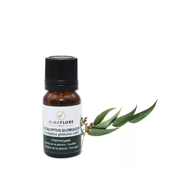 ALMAFLORE HUILE ESSENTIELLE D' EUCALYPTUS GLOBULUS 10ML