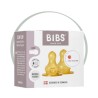 BIBS 2 TETINES RONDES LATEX BIBERON - LENT 0M+
