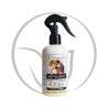 PINEAPPLE SPRAY DEMELANT COIFFANT ADULTE "REFRESH IT" 250 ML