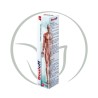 DOULOFF CREME ANTI-DOULEUR 50 ML