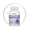BIOHERBS GATTILIER VITEX 60 GELULES