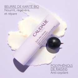 CAUDALIE VINOTHERAPIST SOIN DES LEVRES 4.5G